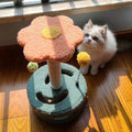 Scratch Board for Grinding Claws | Essential Pet Accessory